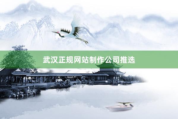 武汉正规网站制作公司推选