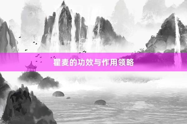 瞿麦的功效与作用领略